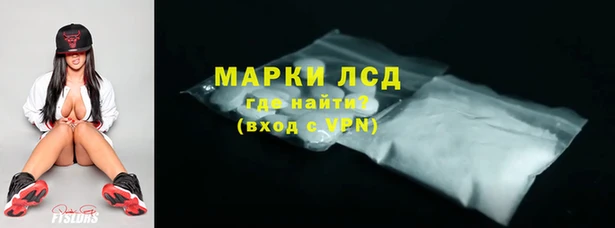 сатива Балахна