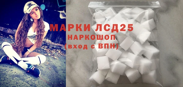 сатива Балахна