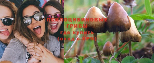 a pvp Михайлов
